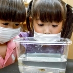 田んぼで捕まえた白いオタマジャクシを見る永良結麻ちゃん（右）と奨真ちゃん＝市川町