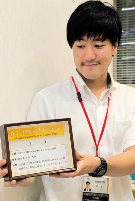 キンイロネクイハムシの生息地を発見した宮下直也学芸員＝姫路市青山、姫路科学館