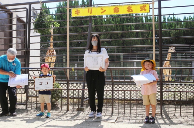 キリンの赤ちゃん（後方右）に「ココ」と名付けた（右から）坪田康平君、池田心来さん、牧志啓ちゃん＝姫路市立動物園