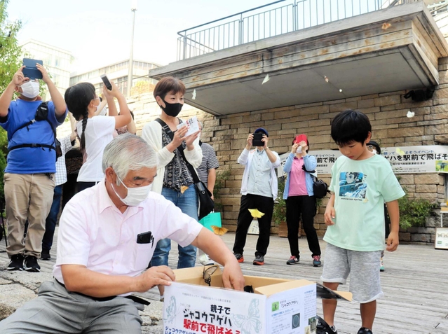 採集したチョウを一斉に放ち、ジャコウアゲハをＰＲするイベント＝姫路市駅前町