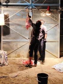 シカを解体し、肉を切り分けるバングラデシュ出身の男性（手前、林双葉さん提供）