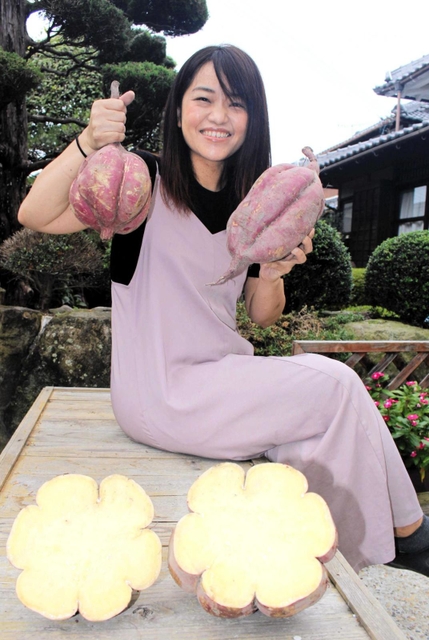 福永さん夫妻が収穫した特大サツマイモ＝姫路市
