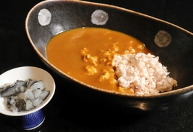 白米の代わりにサラダチキンを使った「瓢亭サラダチキンカレー」＝姫路市西二階町