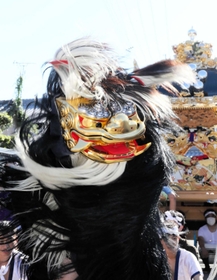 ２年ぶりに披露された毛獅子舞＝姫路市大塩町（撮影・大山伸一郎）