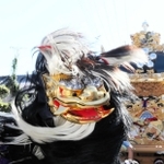 ２年ぶりに披露された毛獅子舞＝姫路市大塩町（撮影・大山伸一郎）