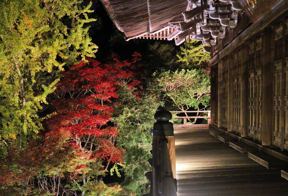 播磨地域 紅葉の名所でライトアップ 書写山円教寺など３カ所 神戸新聞next 姫路