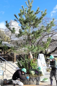 姫路城の登閣口前に飾り付けられた「ジャンボ門松」＝姫路市本町