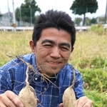 カイアポイモを収穫する六崎太朗さん＝姫路市