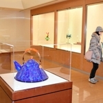 ガラスの可能性を追求した多彩な作品が並ぶ＝姫路市書写