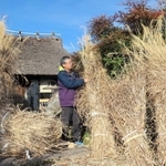 かやぶき屋根の改修に備え、カヤの束を準備する山本秀樹館長＝香寺民俗資料館