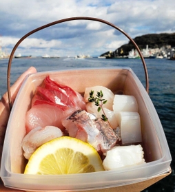 家島の魚介類などを使ったカフェ「スコット」の料理＝姫路市家島町真浦