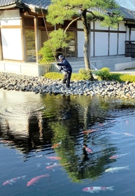 カワウを追い払うため、池の水面を長い棒でたたく警備員＝姫路市本町