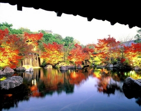 紅葉の時期の大池。鮮やかなニシキゴイも庭の彩りに欠かせない（好古園提供）