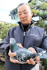 北海道から加古川まで１３時間で飛んだスーパーチャンプと井上和夫さん＝姫路市