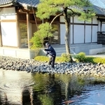 カワウを追い払うため、池の水面を長い棒でたたく警備員＝姫路市本町