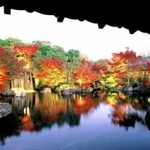 紅葉の時期の大池。鮮やかなニシキゴイも庭の彩りに欠かせない（好古園提供）