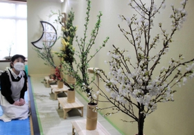 会員の個性を生かした春らしい生け花作品が並ぶ会場＝姫路市本町