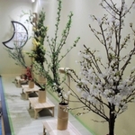 会員の個性を生かした春らしい生け花作品が並ぶ会場＝姫路市本町