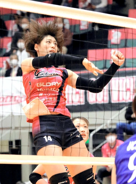 ミドルブロッカー佐々木千紘。初の代表選出に飛躍を誓う＝ヴィクトリーナ・ウインク体育館