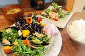 自家製野菜をふんだんに使ったランチ