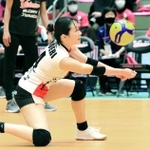 姫路の守りの要、リベロの花井萌里も代表入りで世界レベルを目指す＝ヴィクトリーナ・ウインク体育館