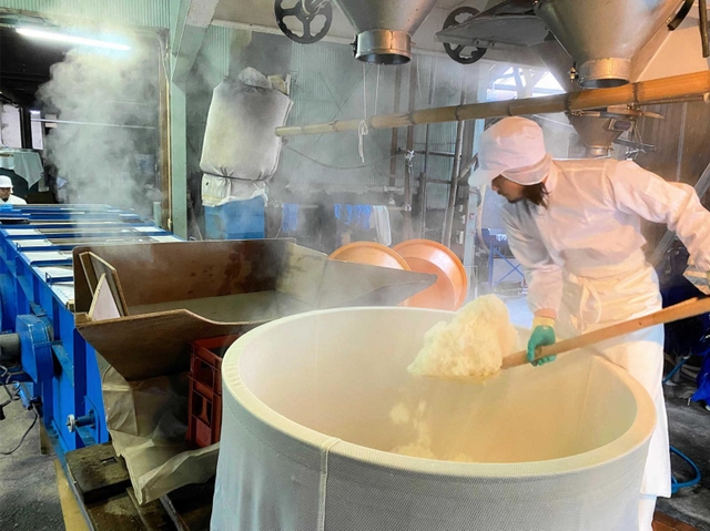 バケツで栽培した弁慶を蒸し上げ、仕込み作業をする壺坂酒造の担当者（２０２２年１月）