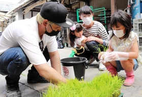 バケツに植える苗を受け取る家族連れ（２０２１年６月）
