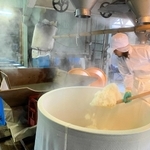 バケツで栽培した弁慶を蒸し上げ、仕込み作業をする壺坂酒造の担当者（２０２２年１月）