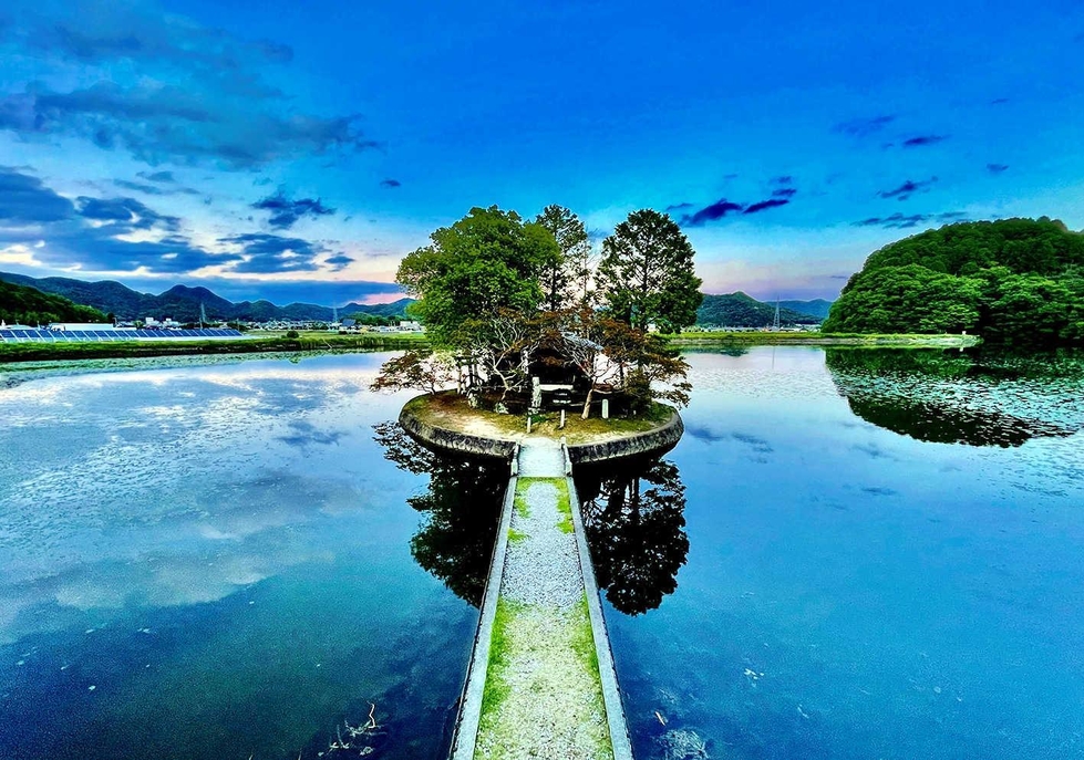 江戸時代から 映え スポット ため池にぽつんと浮かぶ洲濱神社人気 姫路 姫路 神戸新聞next