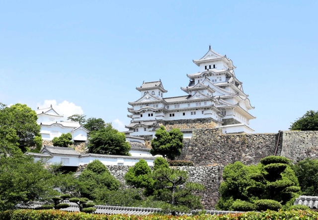 姫路市へのふるさと納税寄付額の約４割が保存に向けて活用された姫路城＝姫路市本町（撮影・大山伸一郎）
