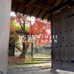 外国人に姫路の魅力をＰＲした動画の一場面。好古園も紹介している（姫路観光コンベンションビューロー提供）