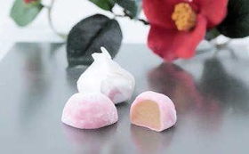 ツバキの花に見立てた銘菓「玉椿」（伊勢屋本店提供）
