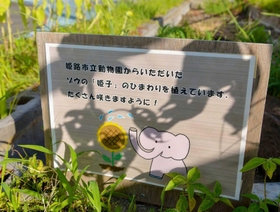 花壇に設置された説明板＝鳥羽水族館提供