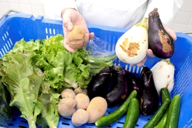 ホテル日航姫路が積極活用しているナスやキュウリなどの規格外野菜（同ホテル提供）