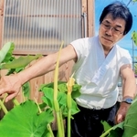 都倉義直さんのプランターで開花したサトイモ＝姫路市飾磨区構２