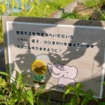 花壇に設置された説明板＝鳥羽水族館提供