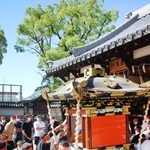 ３年ぶりに蔵から運び出されるみこし＝姫路市白浜町、松原八幡神社