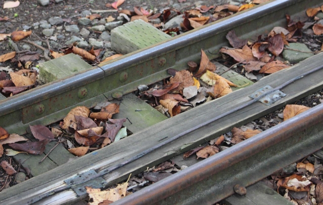 遊具が走るレール。幅は本物の新幹線の４分の１以下で、中央のコードに動力源の電気が流れている＝姫路市立動物園