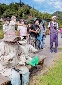 かかしが並ぶ地区を散策するファンクラブの会員＝姫路市安富町関