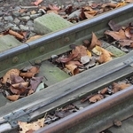 遊具が走るレール。幅は本物の新幹線の４分の１以下で、中央のコードに動力源の電気が流れている＝姫路市立動物園