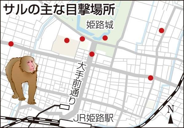 神戸新聞ＮＥＸＴ