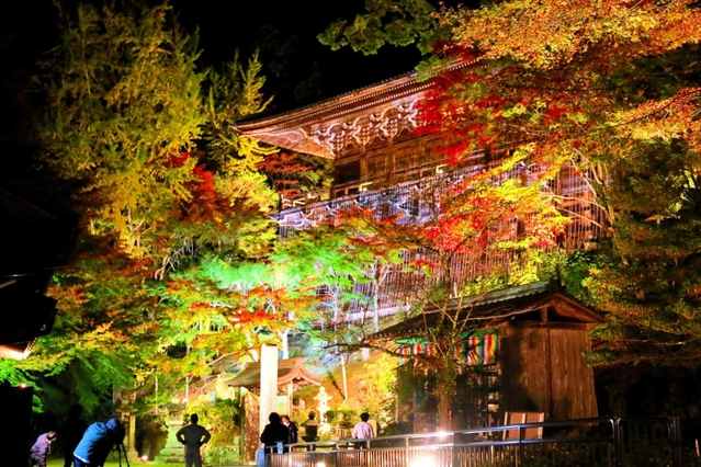 照明に照らされ浮かび上がる摩尼殿と紅葉＝書写山円教寺