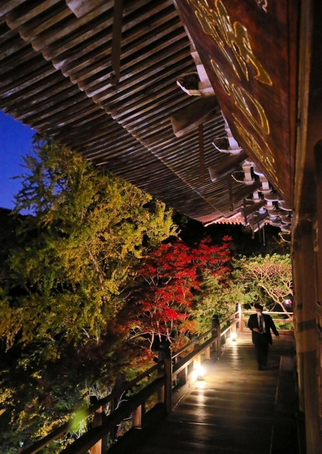 照明に照らされ浮かび上がる摩尼殿と紅葉＝書写山円教寺
