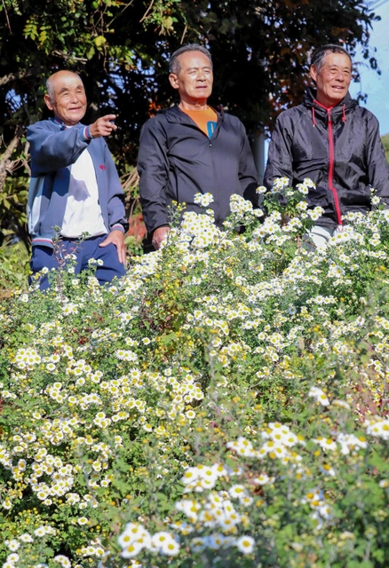 「山仲間」の（左から）米澤敏夫さん、益田孝さん、松岡秋夫さん＝姫路市白浜町