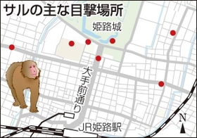 神戸新聞ＮＥＸＴ