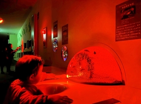 懐中電灯で照らしながら魚を観察する参加者＝姫路市立水族館