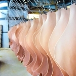 天然由来の手法で環境負荷を抑えて生産するヌメ革＝山陽（山陽提供）