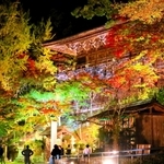 照明に照らされ浮かび上がる摩尼殿と紅葉＝書写山円教寺