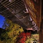照明に照らされ浮かび上がる摩尼殿と紅葉＝書写山円教寺