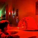 懐中電灯で照らしながら魚を観察する参加者＝姫路市立水族館